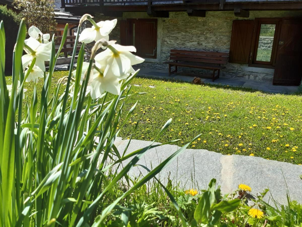 Sauze d'Oulx with garden, ciâbőt la garitüla Apartamento Exterior foto