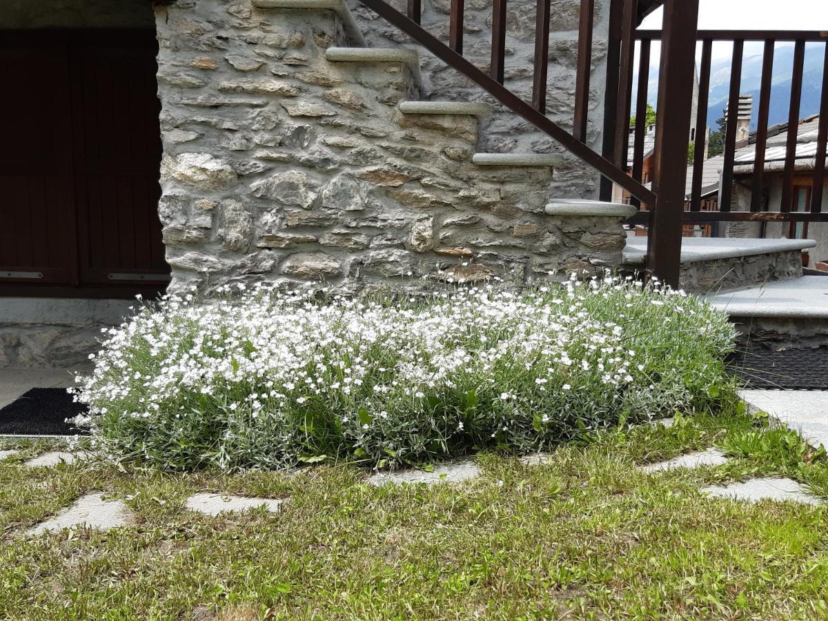 Sauze d'Oulx with garden, ciâbőt la garitüla Apartamento Exterior foto