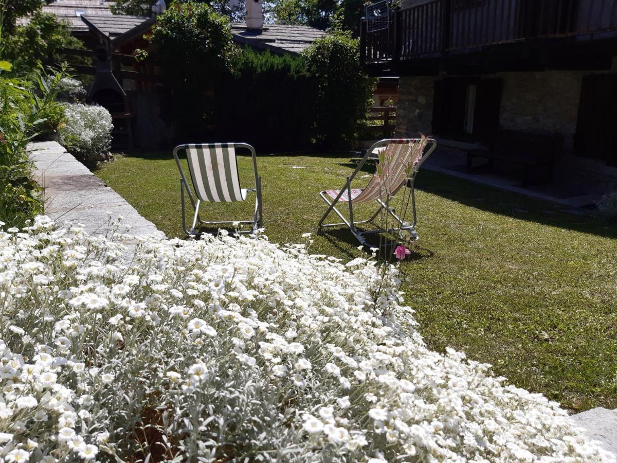 Sauze d'Oulx with garden, ciâbőt la garitüla Apartamento Exterior foto